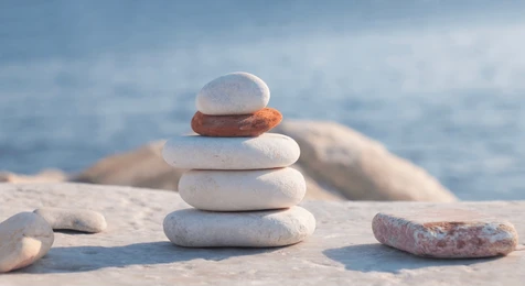 Exploring Conscious Consumption